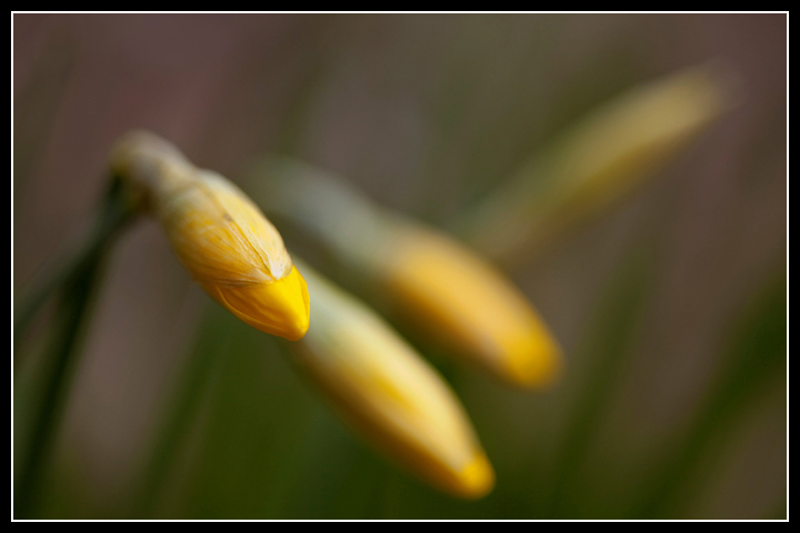 About to Burst