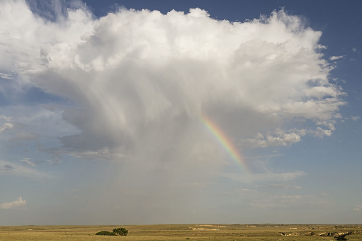 Prairie Rainbow