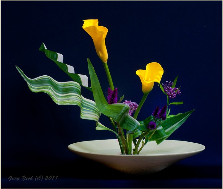 Ikebana #8