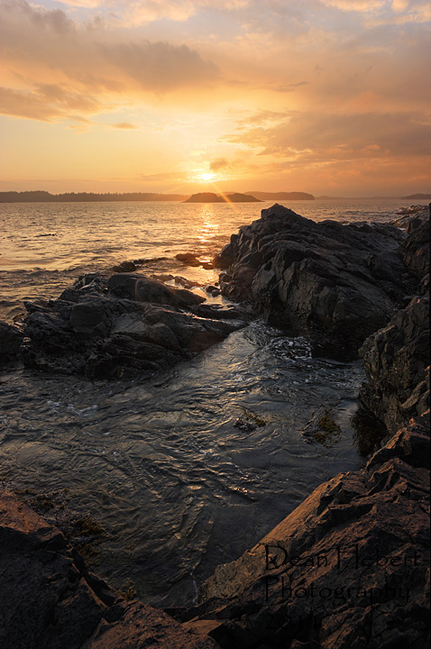 Tofino Sunset