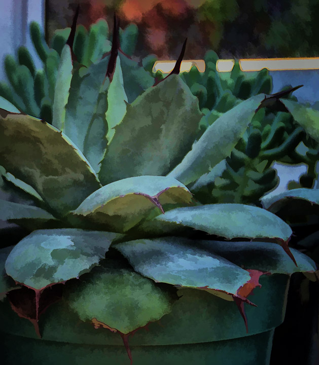In The Greenhouse
