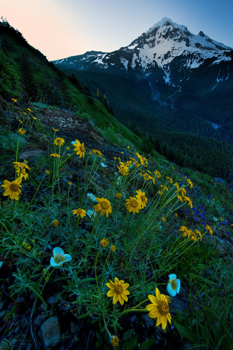 Mt Hood, Dawn