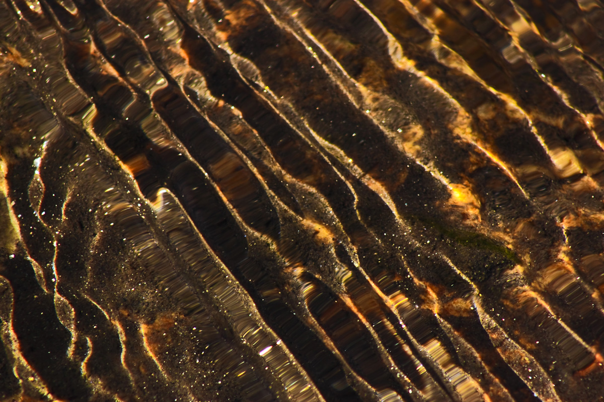 Headwaters--Gold Bars