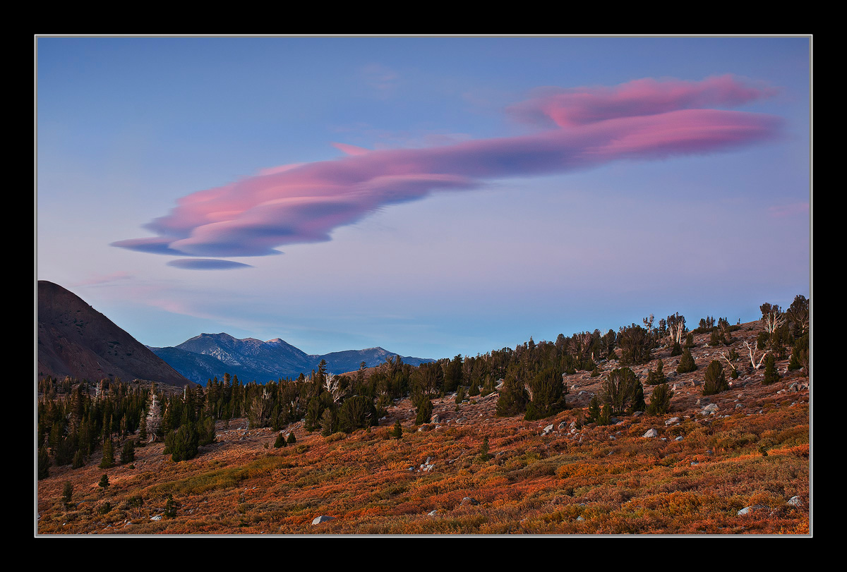 A Cloud!