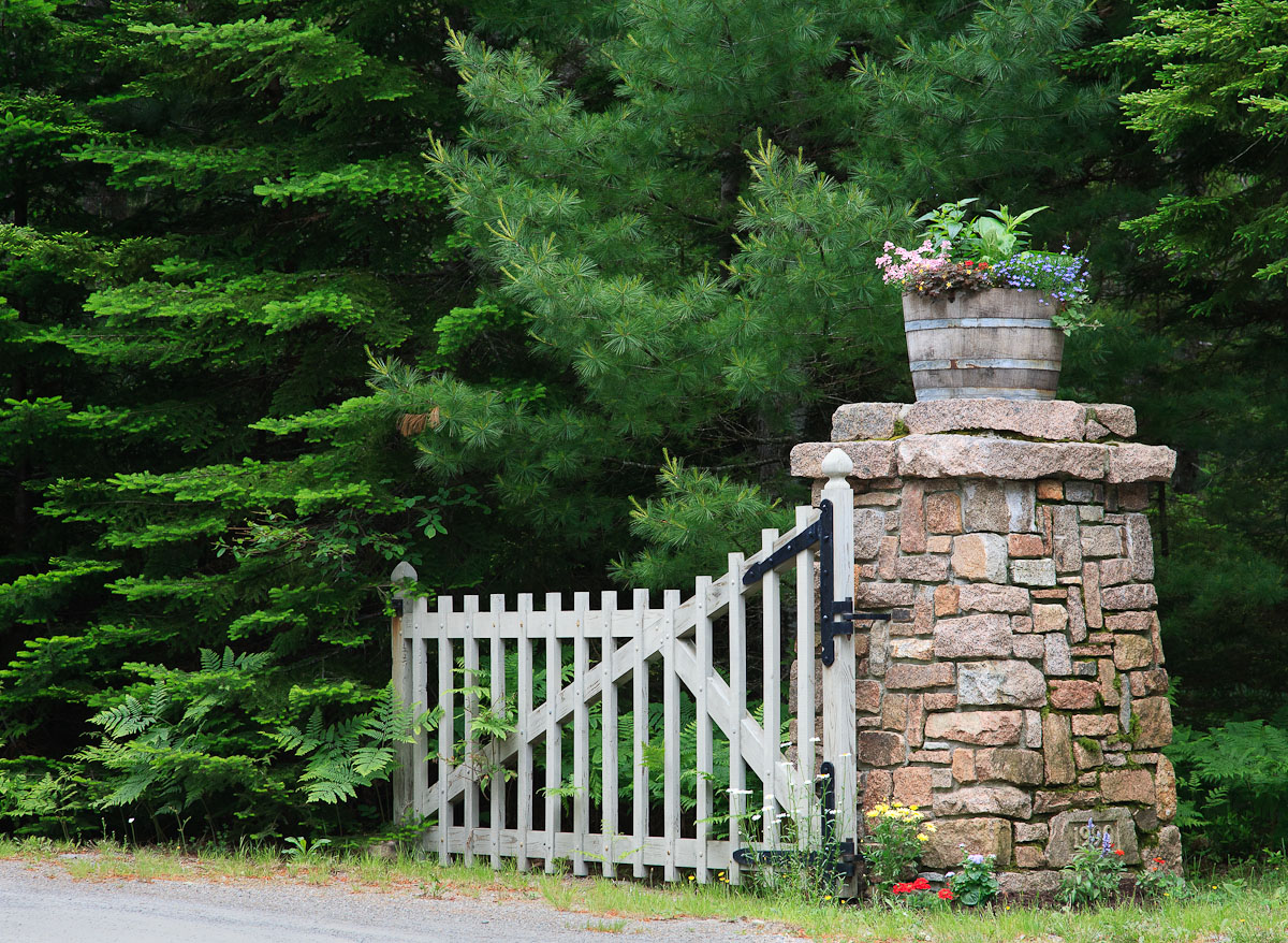 WC#494 Gateway to Greenery