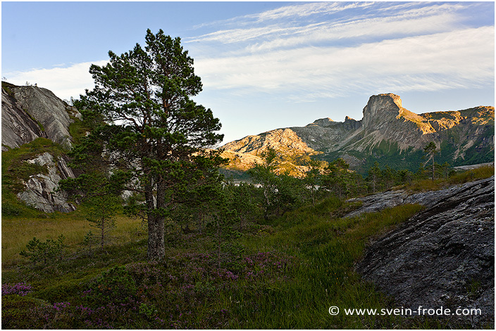 Salten, Arctic Norway