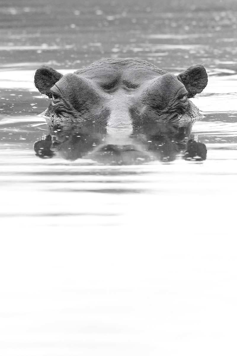 Resting