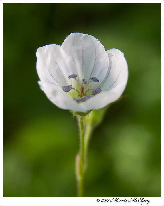 Inner beauty