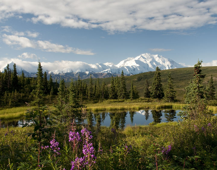 Beauty of Denali