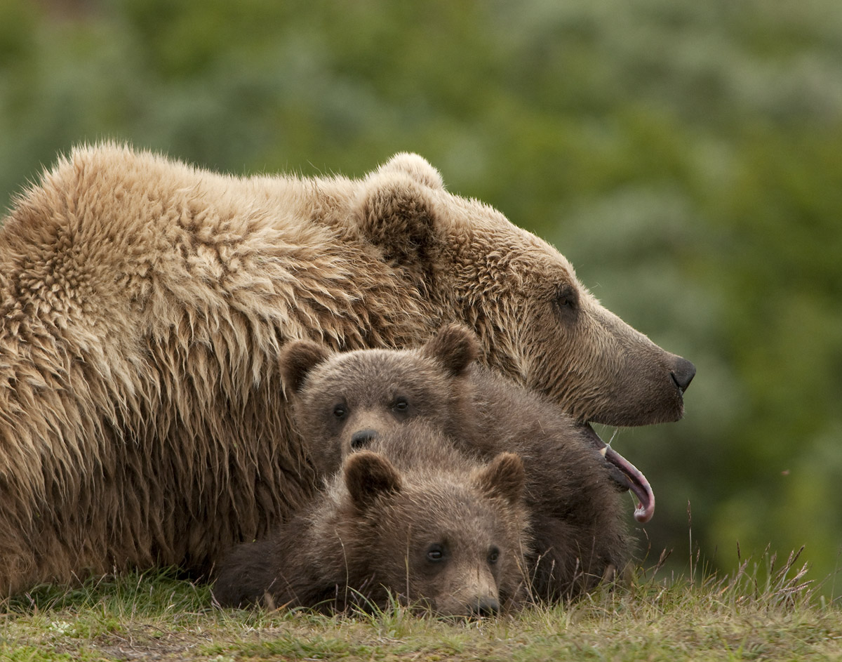 Hanging with Mom