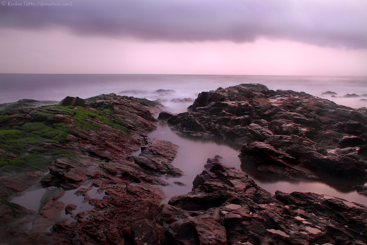 Purple Dusk