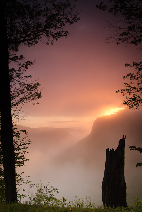 fog over Genesee river