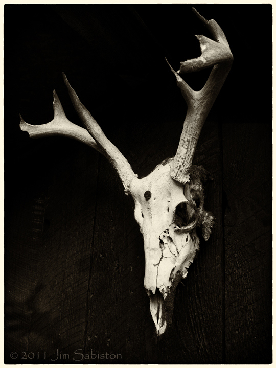 Cold Spirit
