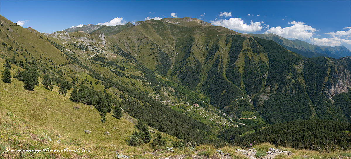Roja Panorama