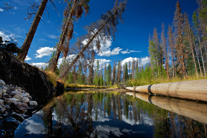 Colorado River