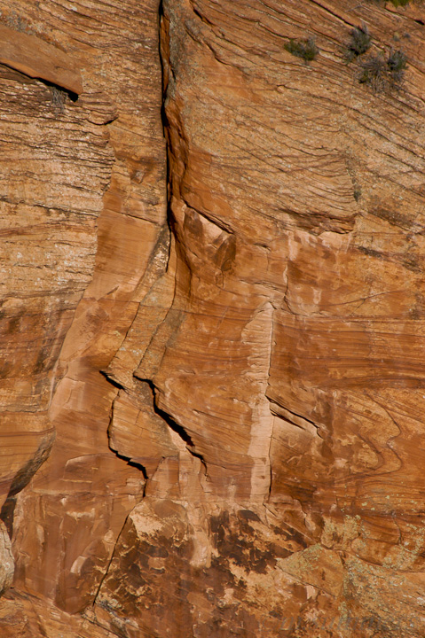 Two Sisters