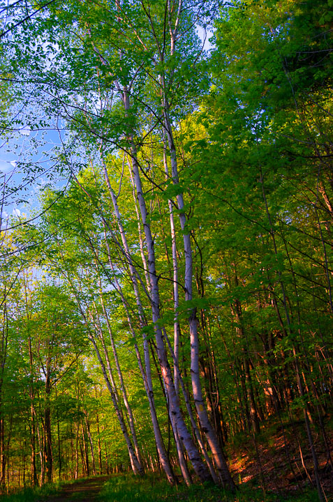 hiking trail 
