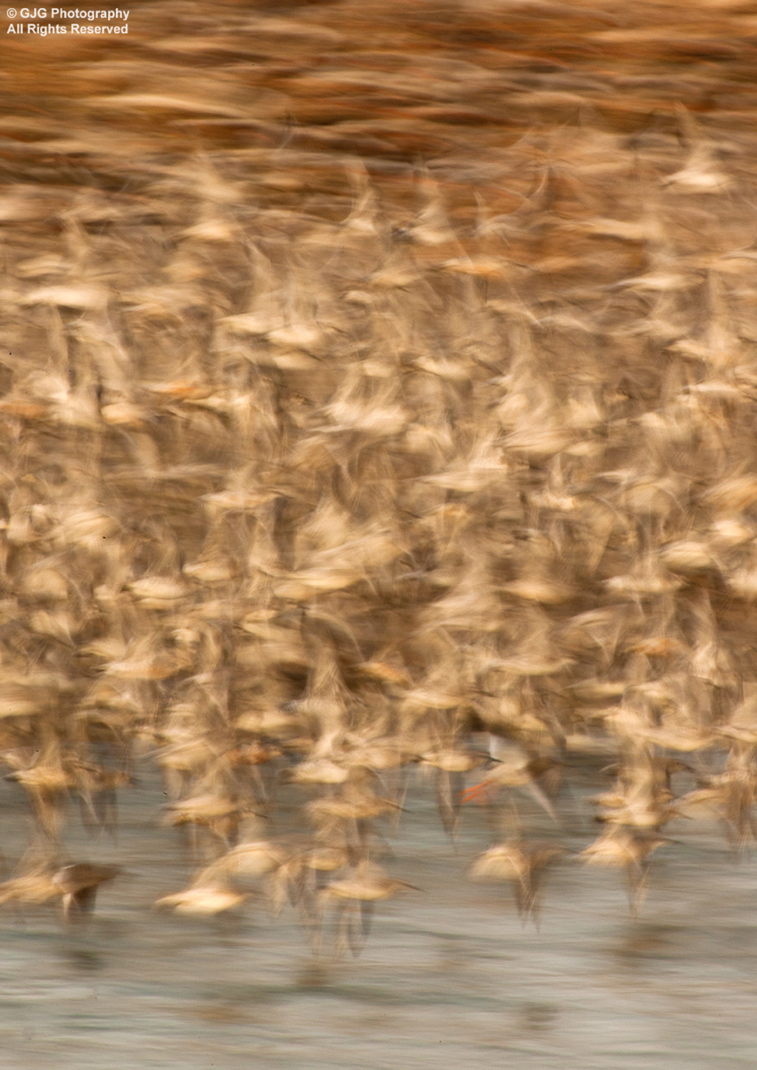 Take Off