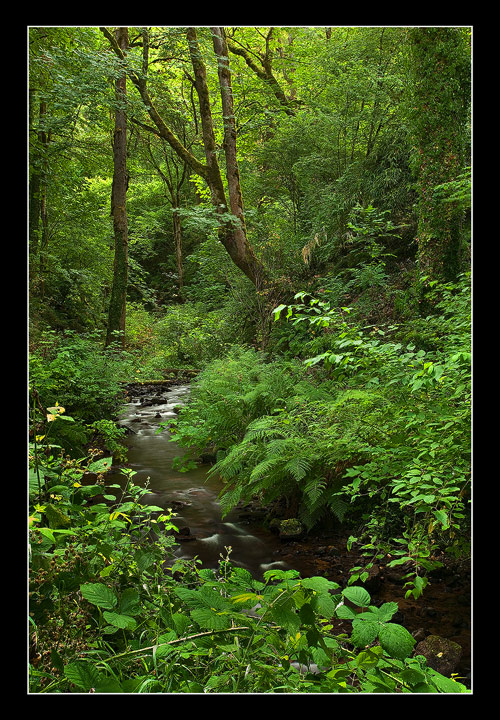 Somewhere in The Gorge