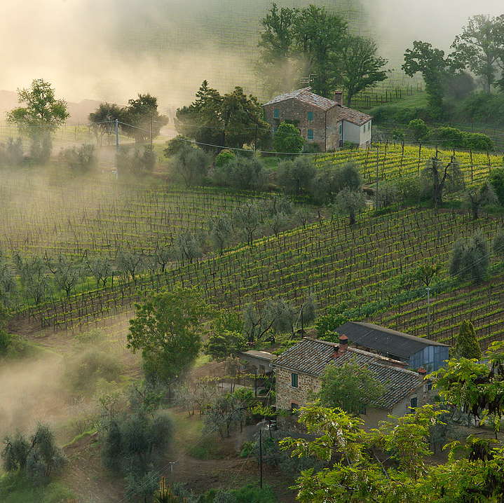 Farmhouses and Fog