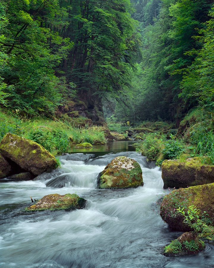 Gorges du Doubs