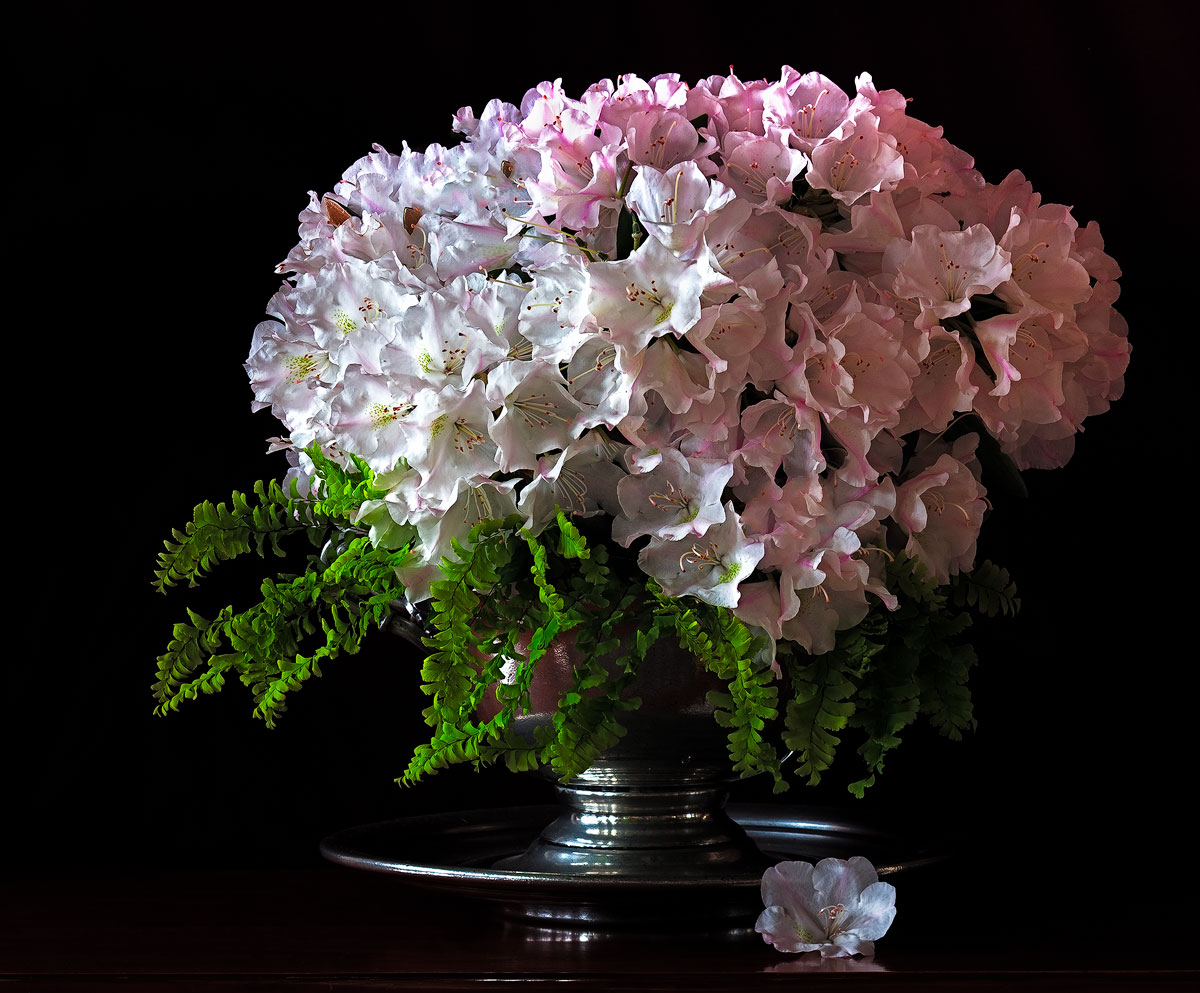 Rhodie Cram