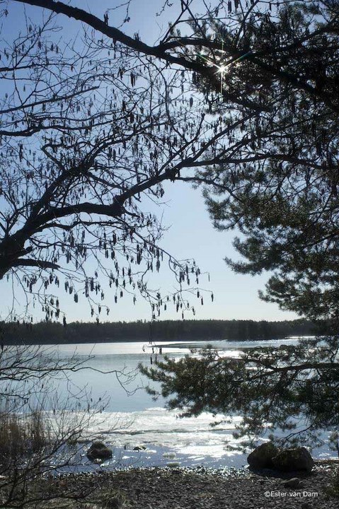 Saaroniemi, Finland