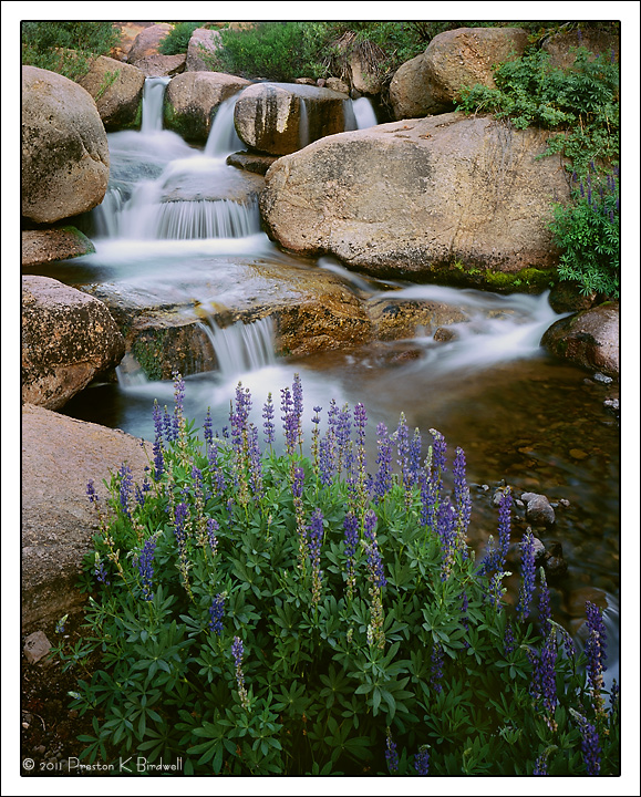 Cascades and Blue