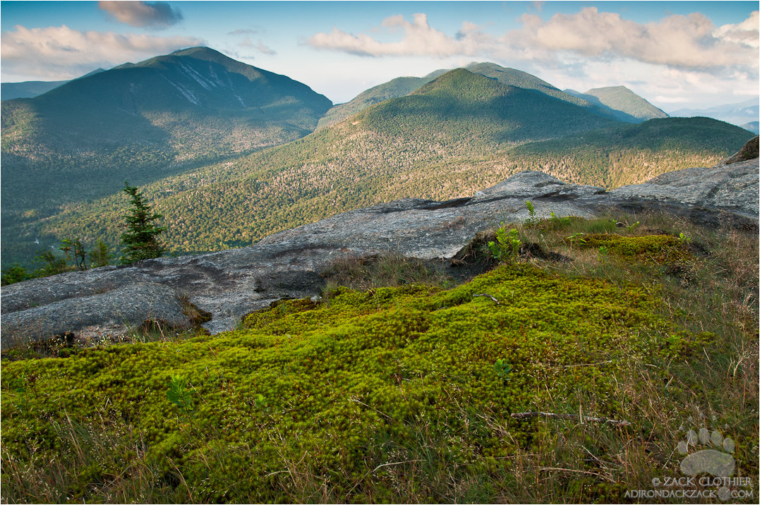 Mountain Carpet w/Repost