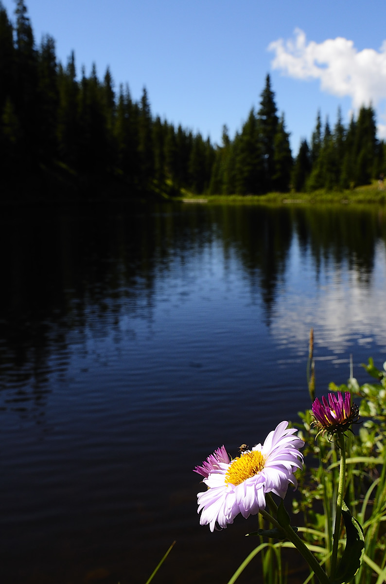 Iris Lake Hike