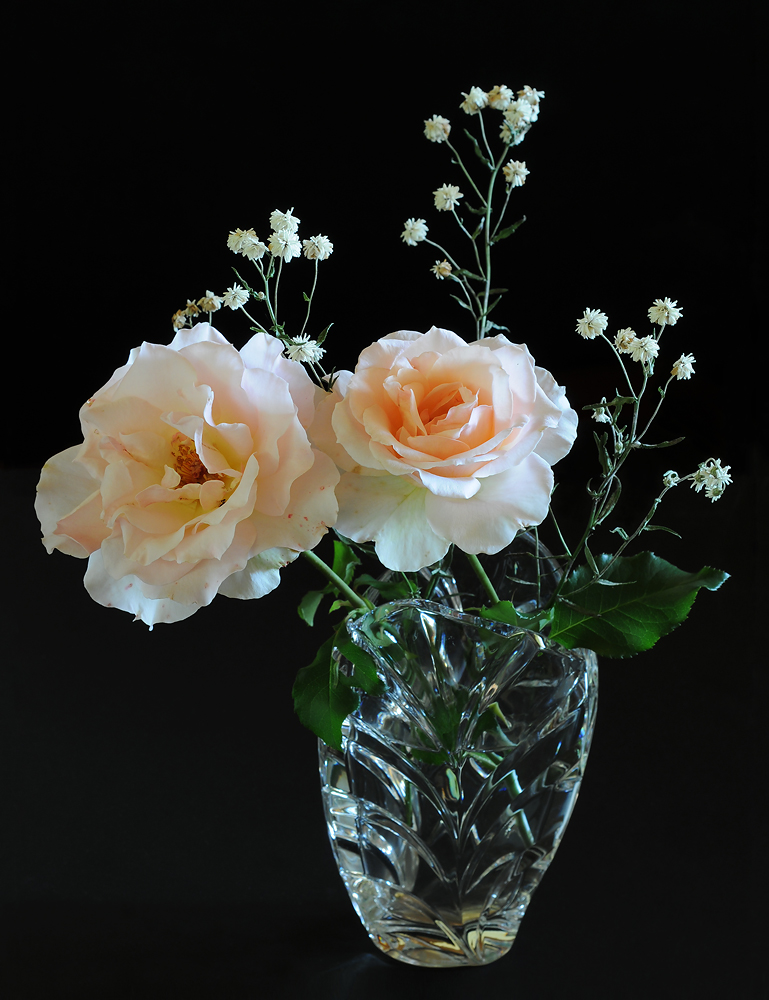 The last roses