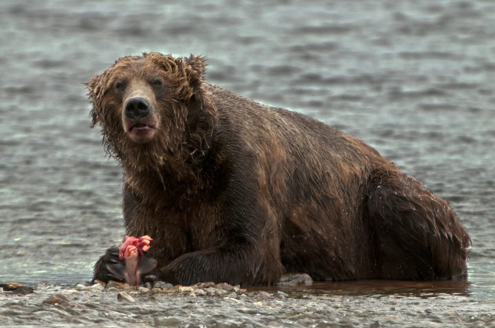 Enjoying Lunch