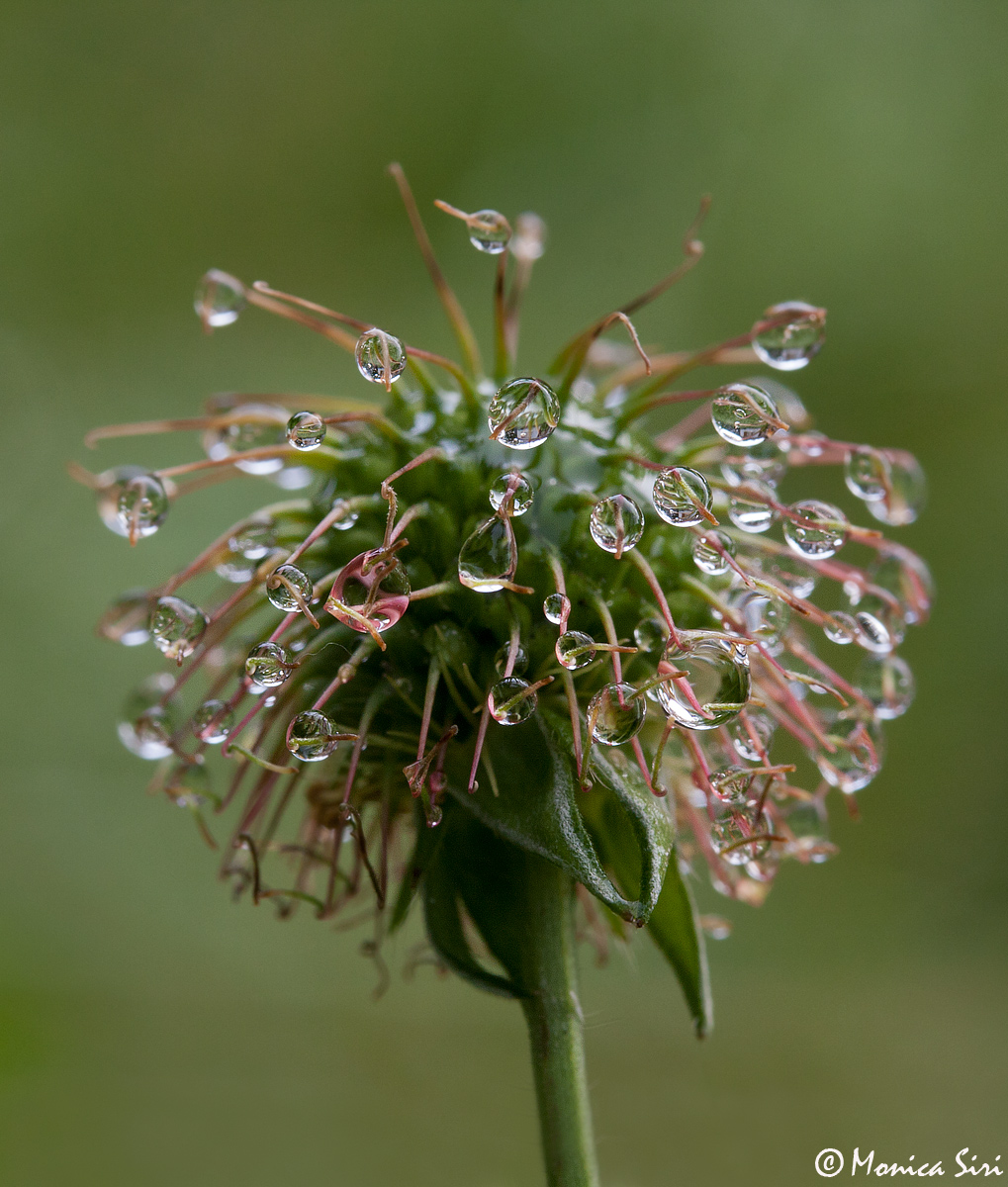 A rainy day