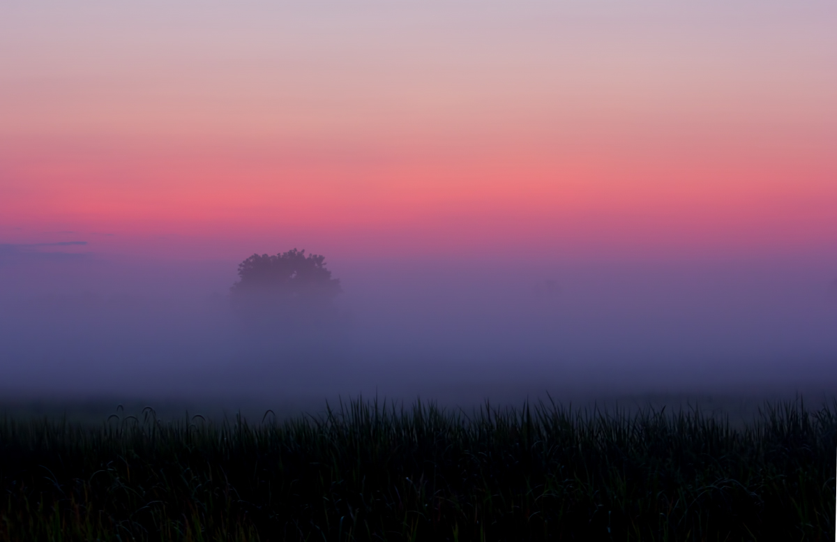 Savannah Morning