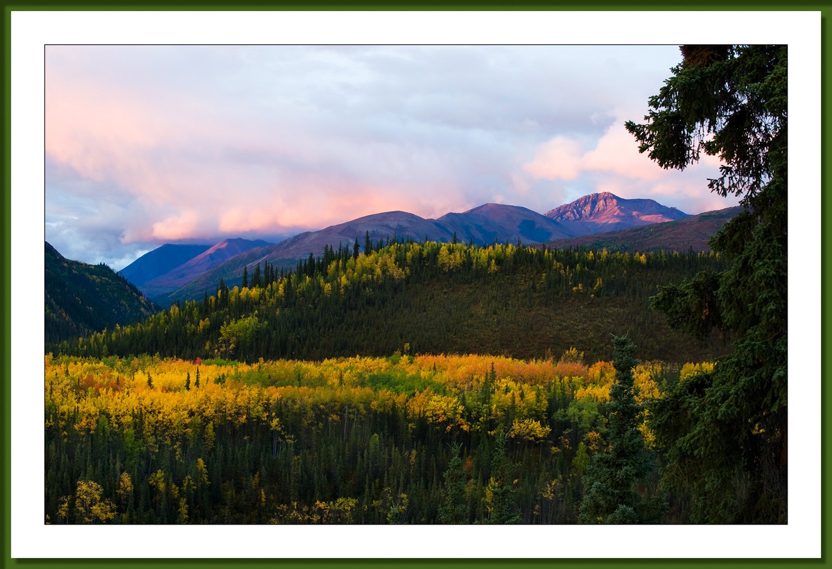 Denali Autumn Morning