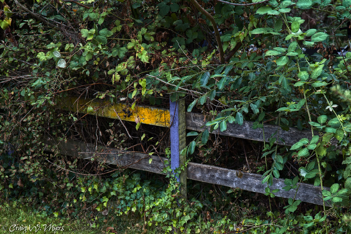 Border Incursion