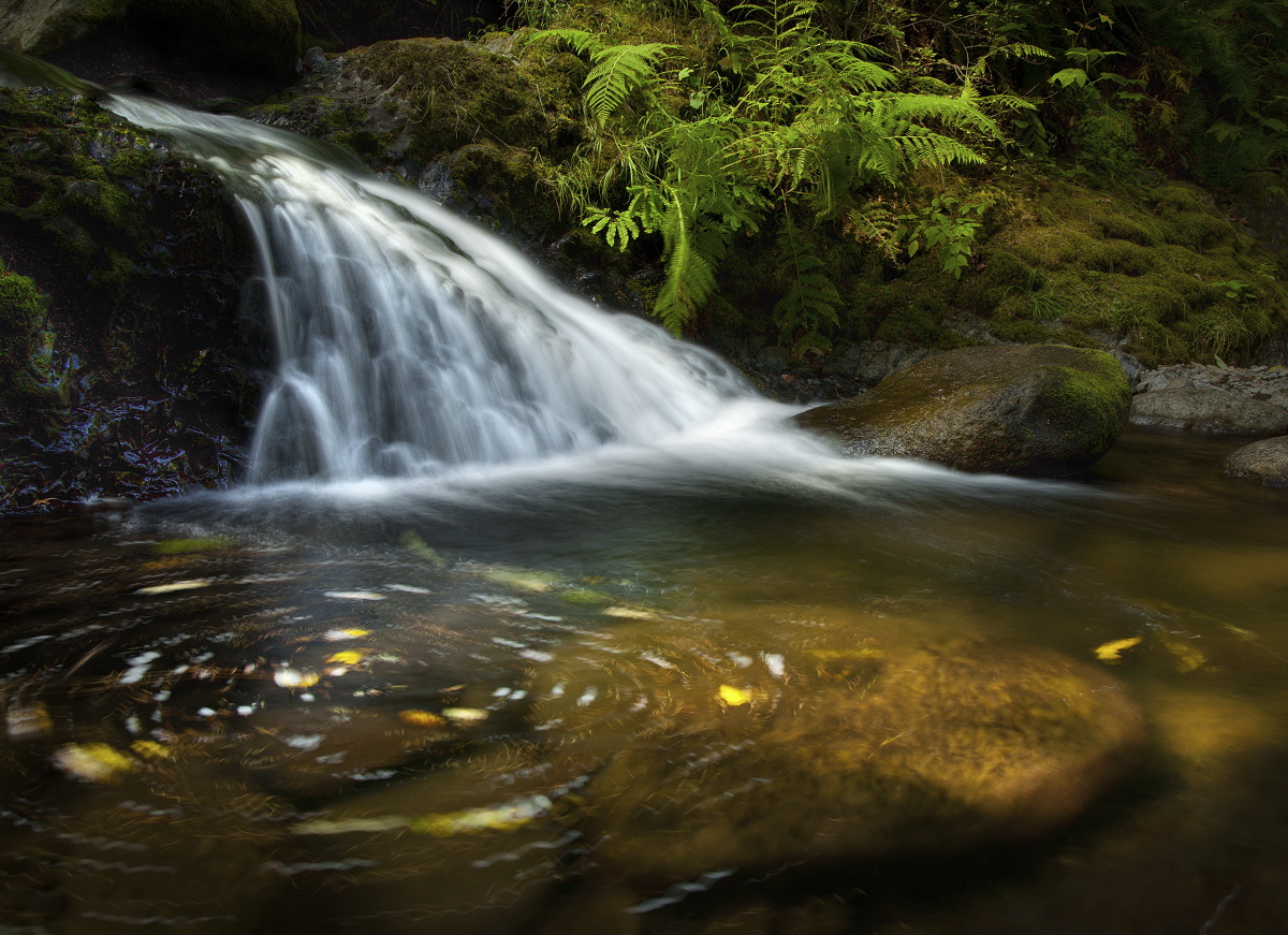 Upper McCord Creek