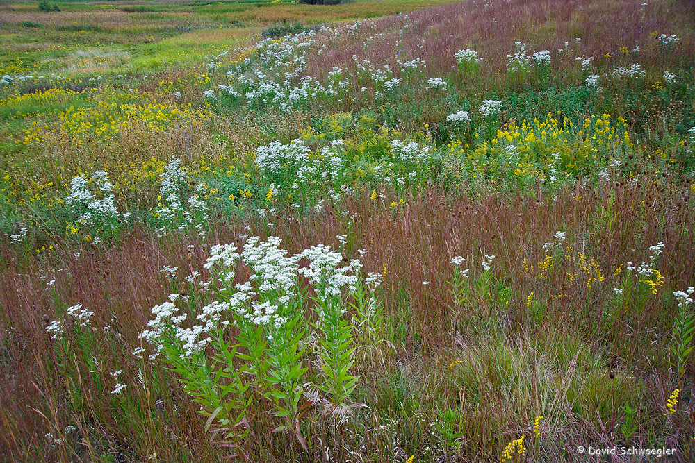 September Prairie - Repost