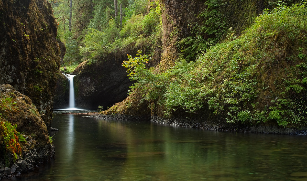 A hike to Punchbowl