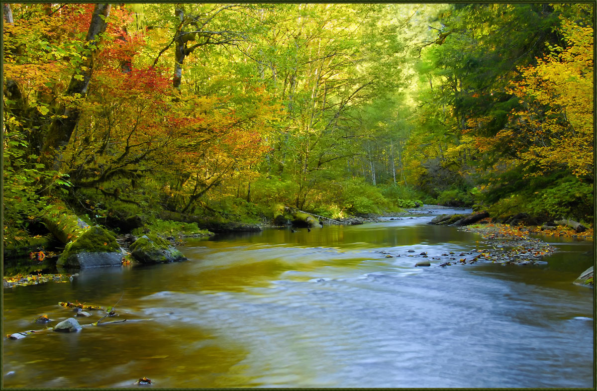 Salmon River Autumn