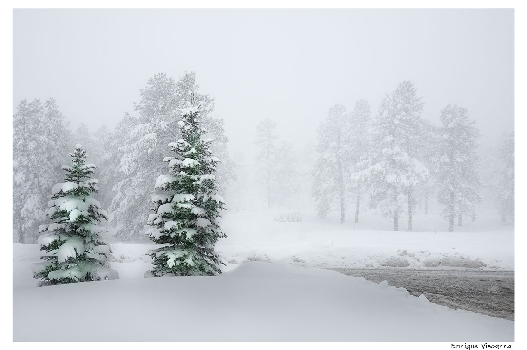 Winter "Post Card"