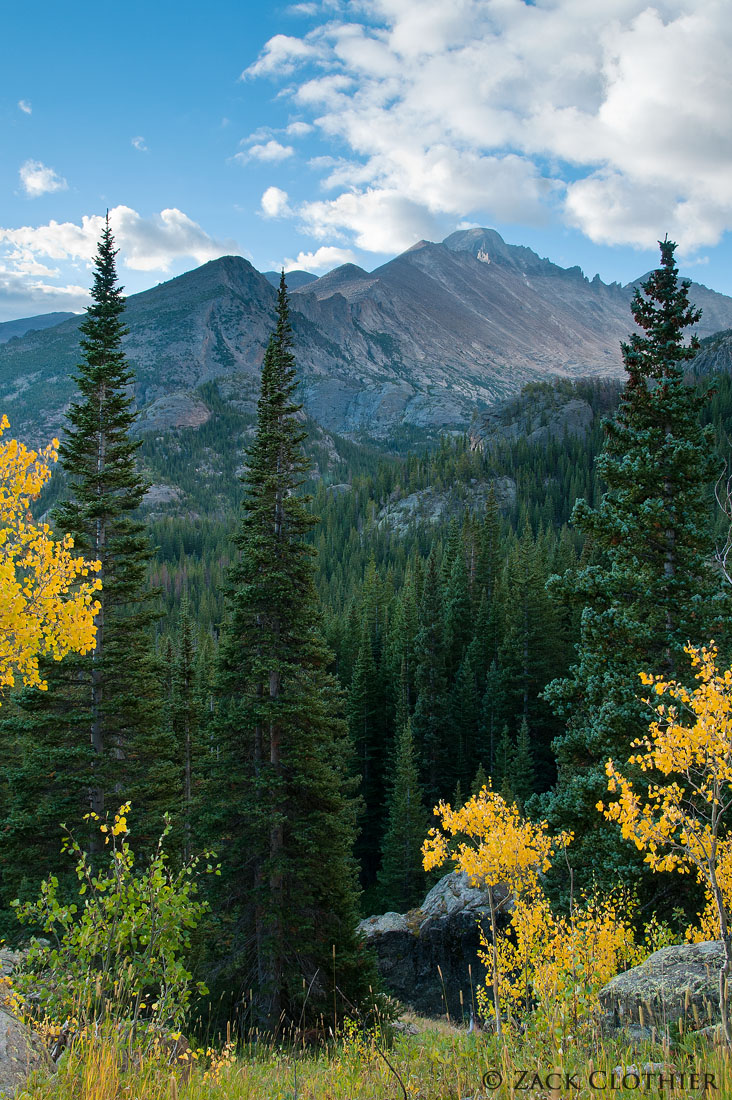 Touch Of Fall w/Repost