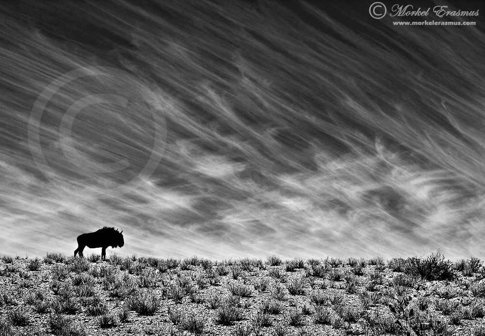 Loneliness
