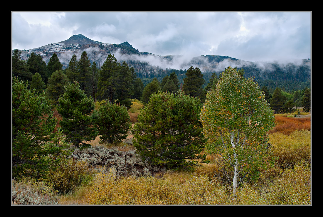 Autumn Whispers