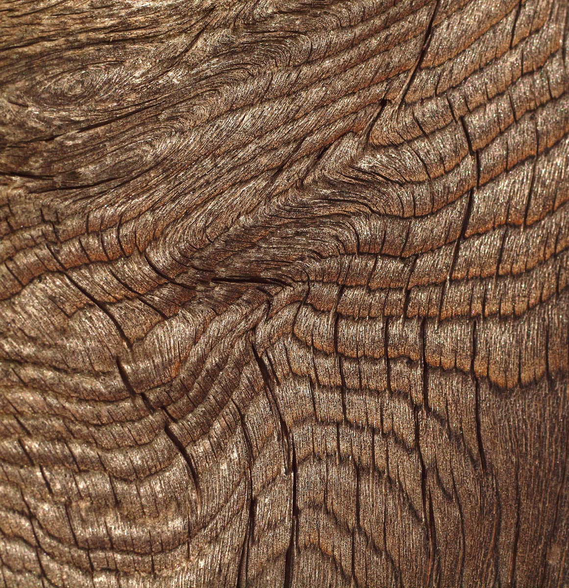 Ripples - WC #502