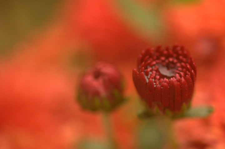 After the rain...