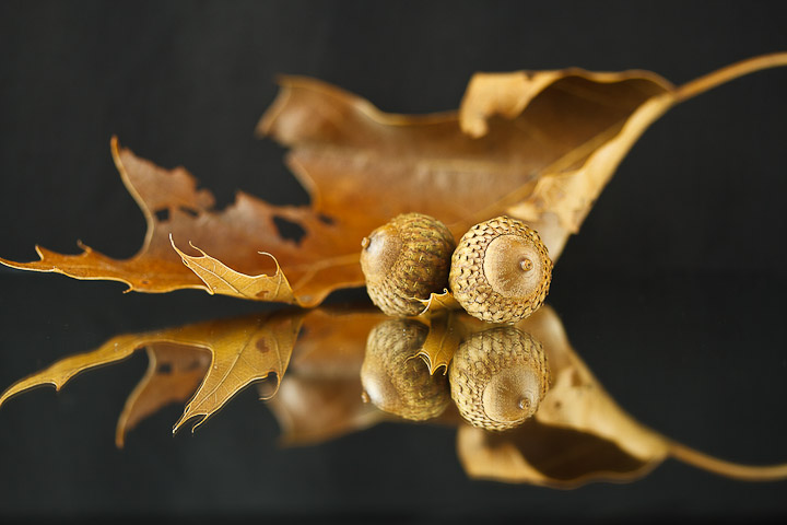 "Fall 2011"