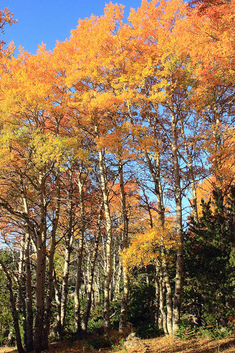 October's Bright Blue