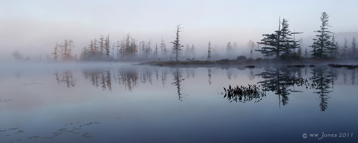 GS II: Warming the Mist