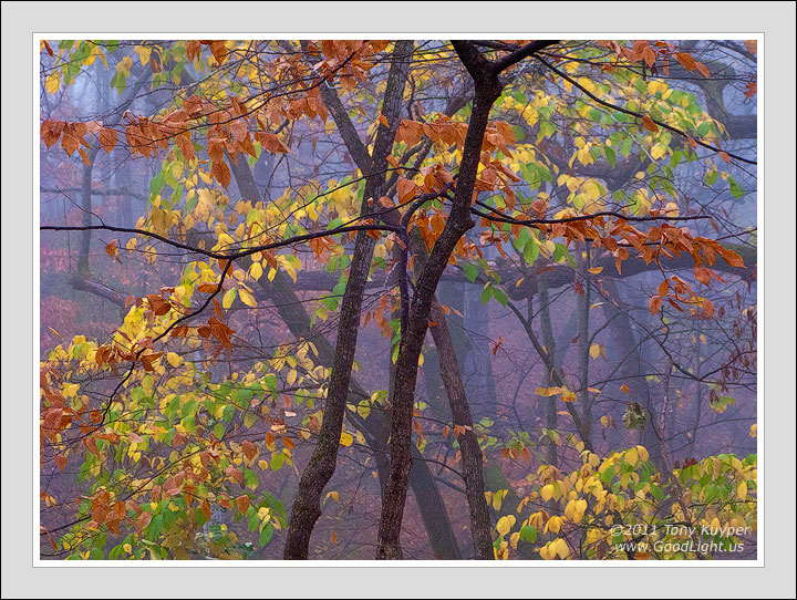 Autumn in Iowa+repost
